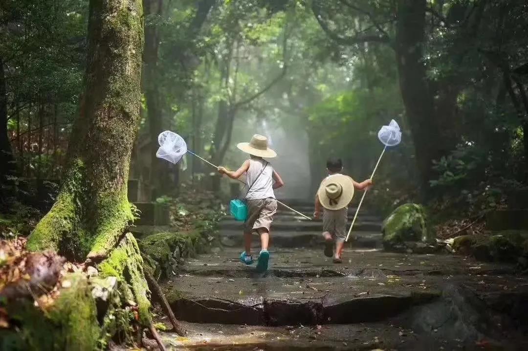 西雙版納旅行